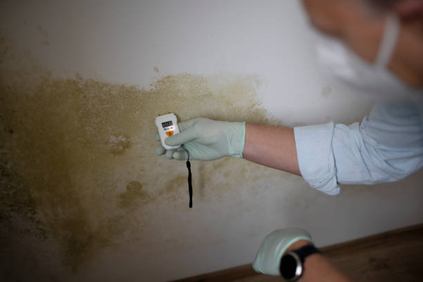 Edinburgh, IN Mold Remediation Company